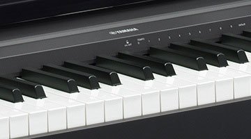 yamaha p45 afterpay