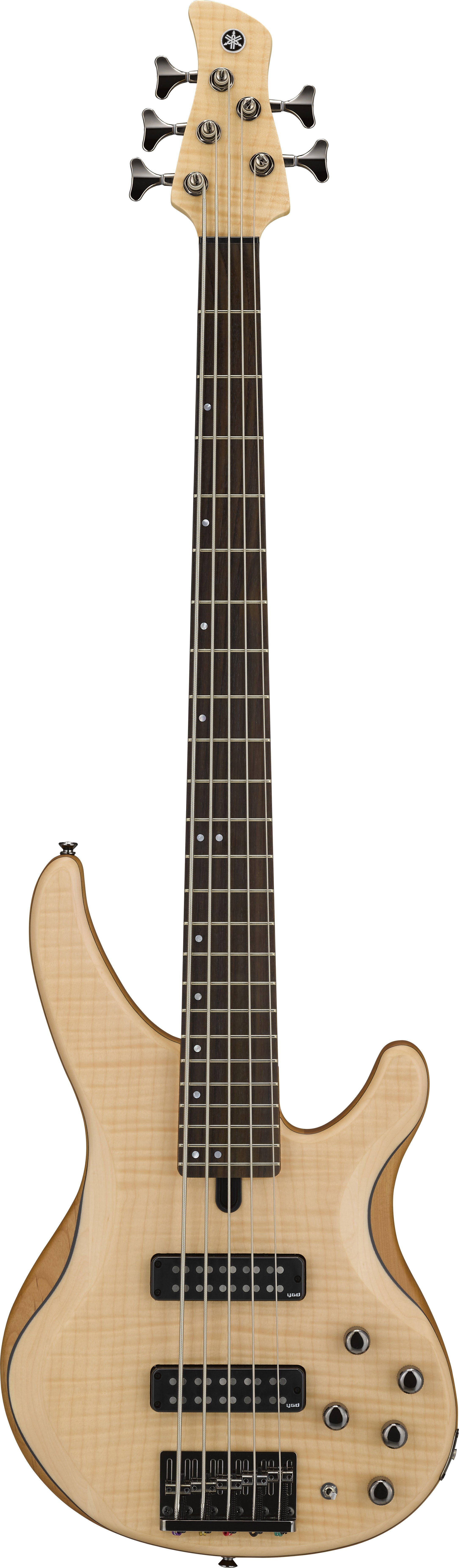 TRBX - 600 Series - Electric Basses - Guitars, Basses & Amps
