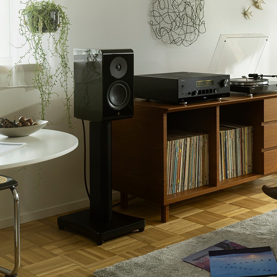 NS800A speaker connected to HiFi system