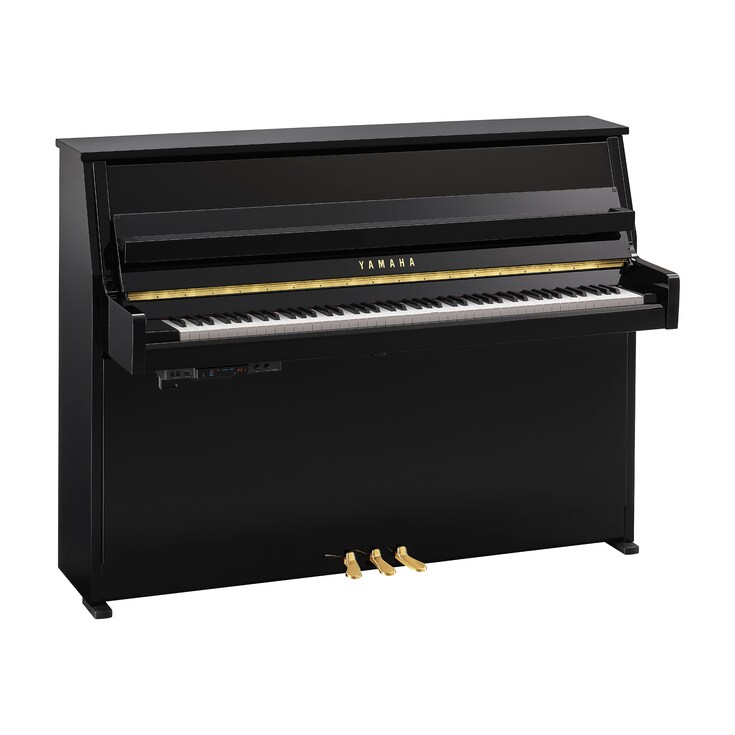 Product image of B10TC3 (Polished Ebony)