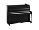 Product image of B20SC3 (Polished Ebony Chrome)