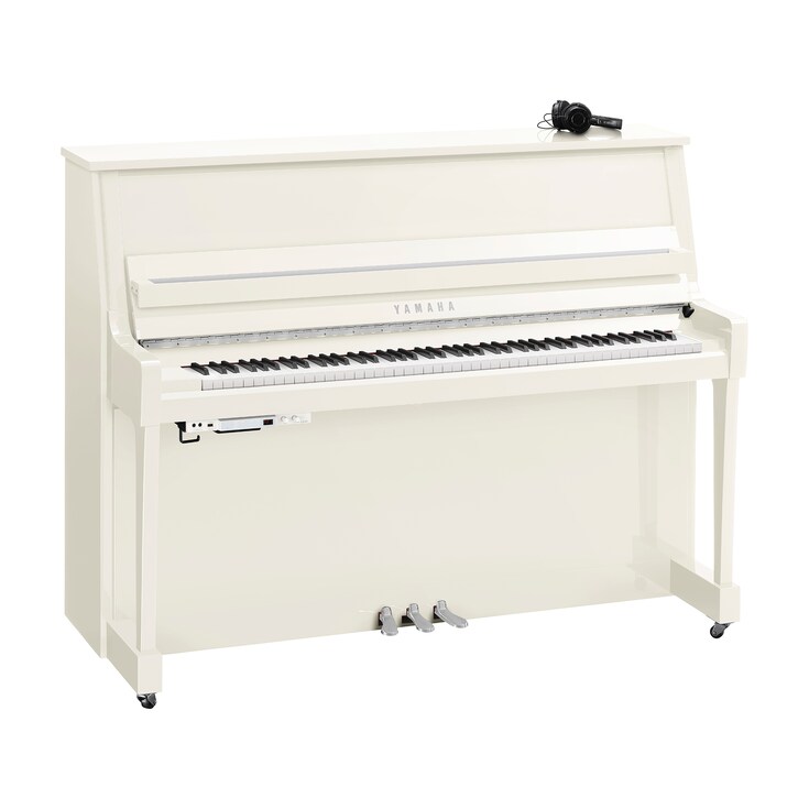 Product image of B20SC3 (Polished White Chrome)