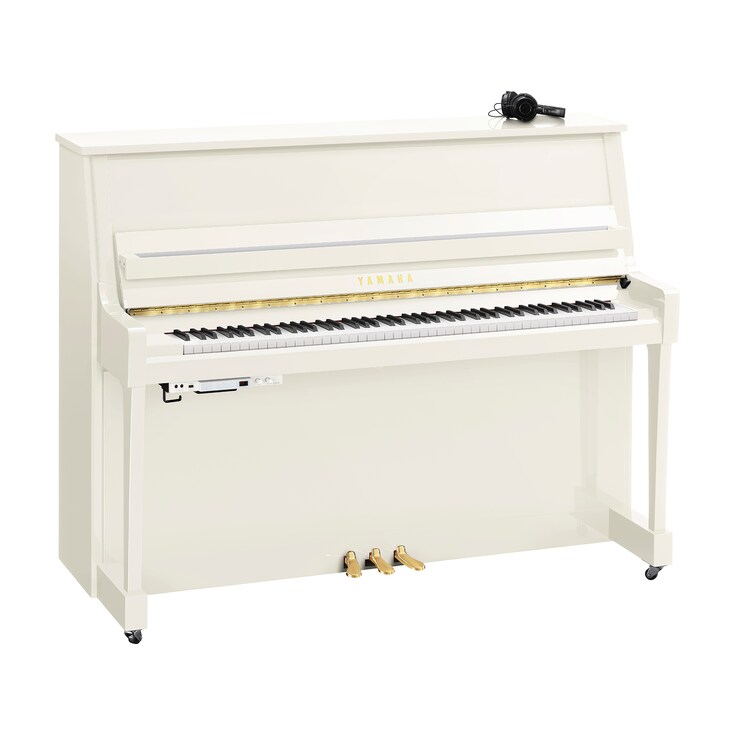 Product image of B20SC3 (Polished White)