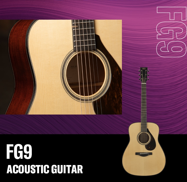 FG9 acoustic guitar. Close-up of soundhole, pickguard, & body side.  Also front-facing whole guitar.