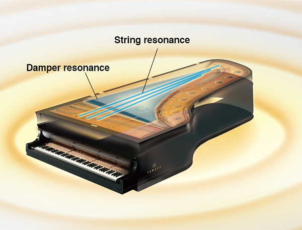 VRM features of the Yamaha DGX670 digital piano