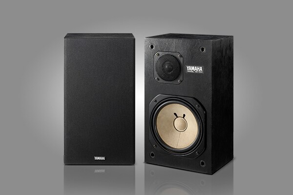 SPEAKER SYSTEM NS-10M