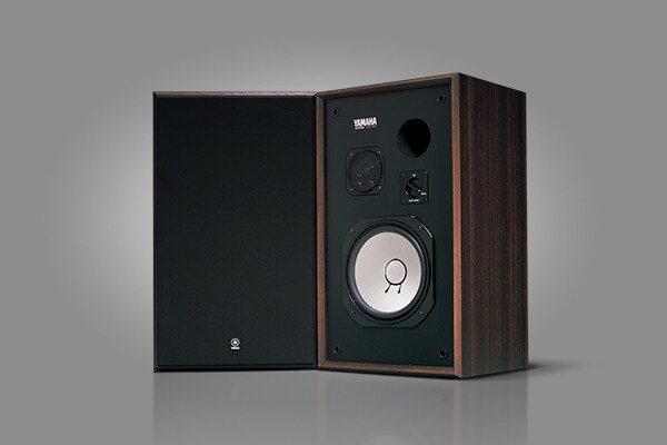 SPEAKER SYSTEM NS-451