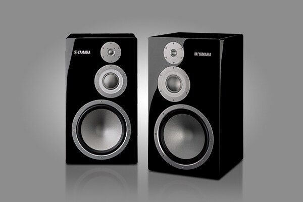 SPEAKER SYSTEM NS-5000