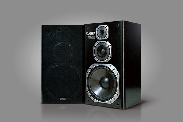 SPEAKER SYSTEM NS-700X