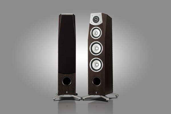 SPEAKER SYSTEM SOAVO-1