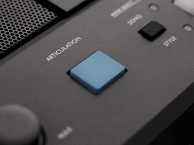 PSR-E483 Feature image of ARTICULATION Button