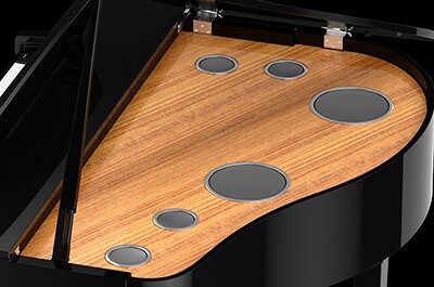 3-WAY SPEAKERS WITH BI-DIRECTIONAL HORNS GRAND ACOUSTIC IMAGING