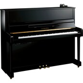 Yamaha b3 SC3