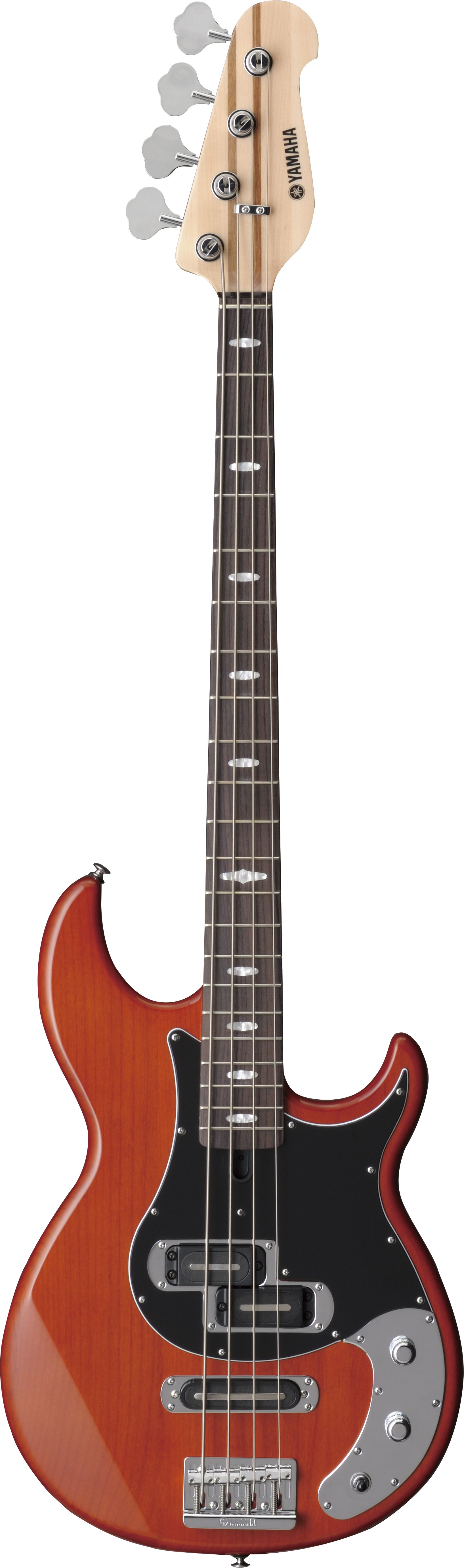 BB - Overview - Electric Basses - Guitars, Basses & Amps BB - Overview - Electric Basses - Guitars, Basses & Amps