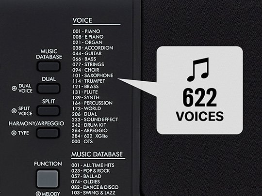 Yamaha PSR-E373 boasts a rich variety of high-quality Voices