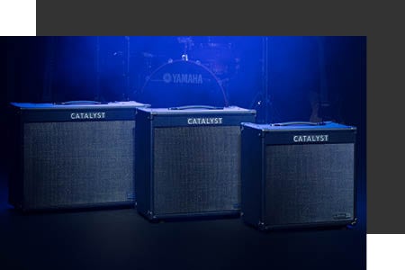 Line 6 Catalyst