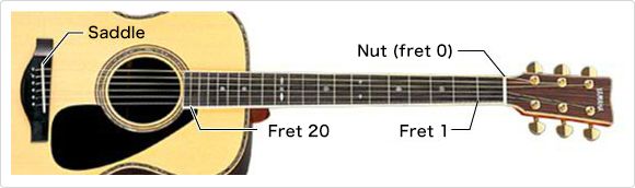 The Structure of the Acoustic Guitar：The rule of strings and pitch -  Musical Instrument Guide - Yamaha Corporation